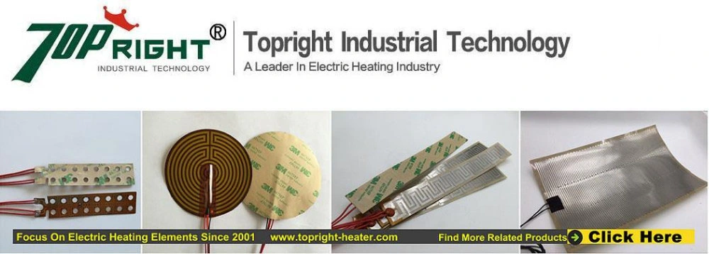 Flexible Polyimide Resistance Kapton Film Heater